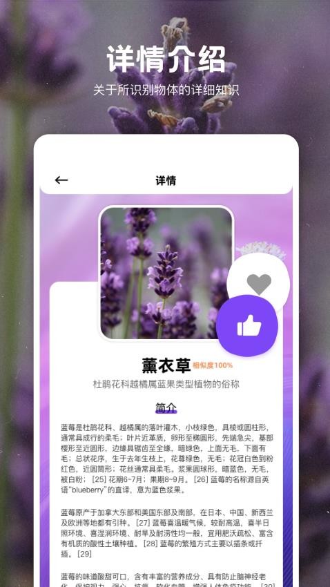一键拍照识物