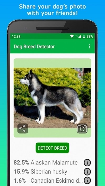 doggy软件图1