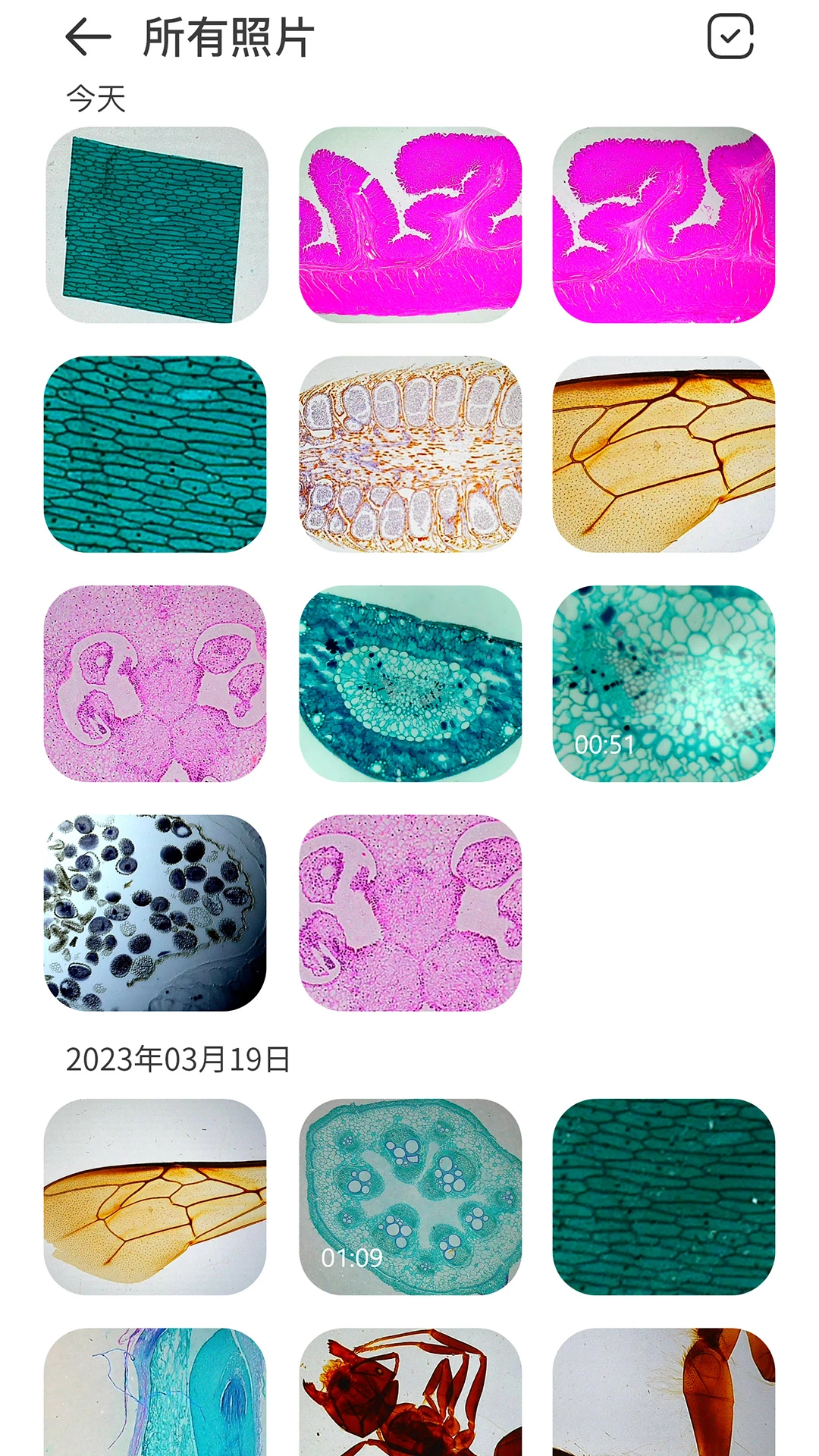 阿蛋科学探索图2