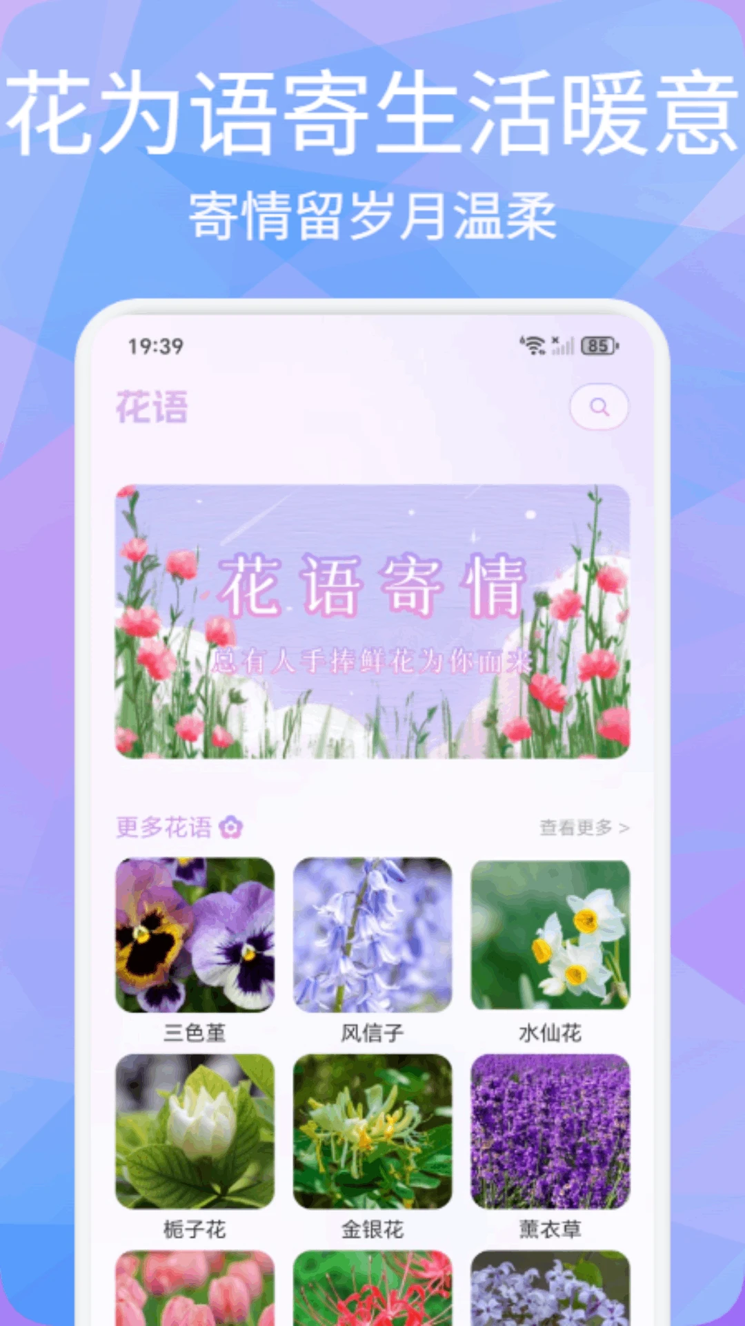 橙口袋记图3