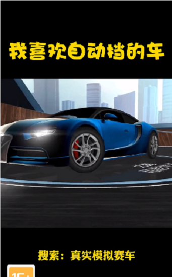 真实模拟赛车图2