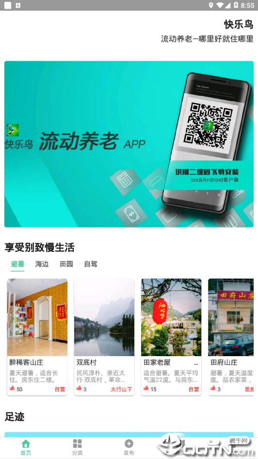 快乐鸟