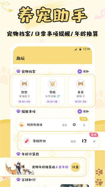 猫语（宠物日常）图4