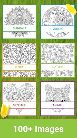 秘密涂色花园图4