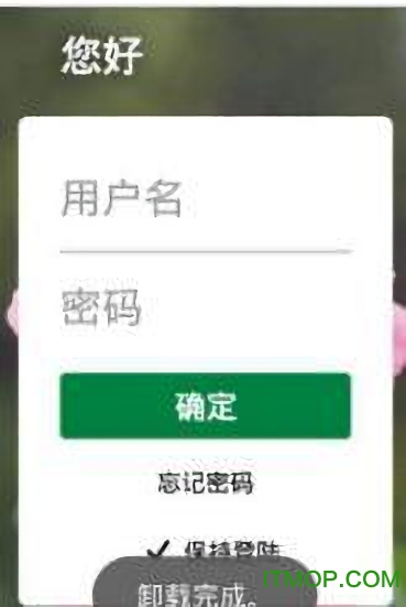 海盛花迈图1