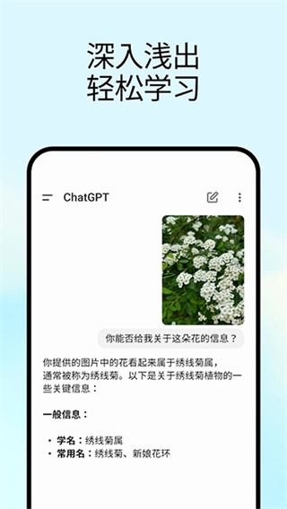 chatgpt4.0官方正版图4