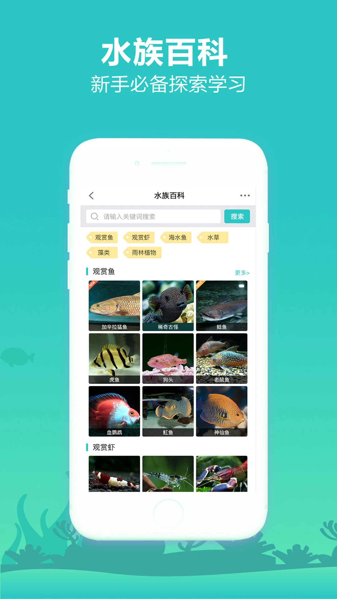 泡泡水族图5