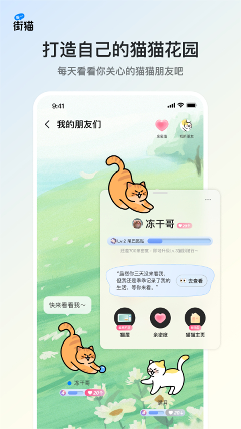 街猫(流浪猫领养软件) v3.2.6 安卓版图2