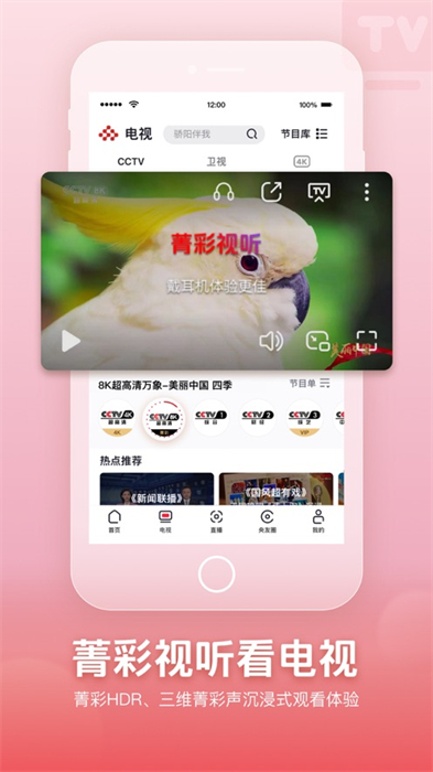 央视频ios版图3