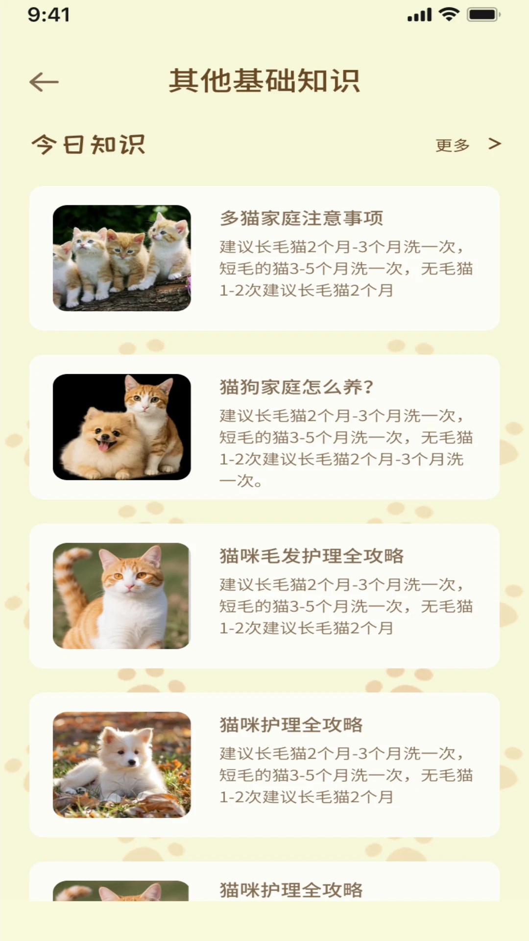 自愈猫咪图3