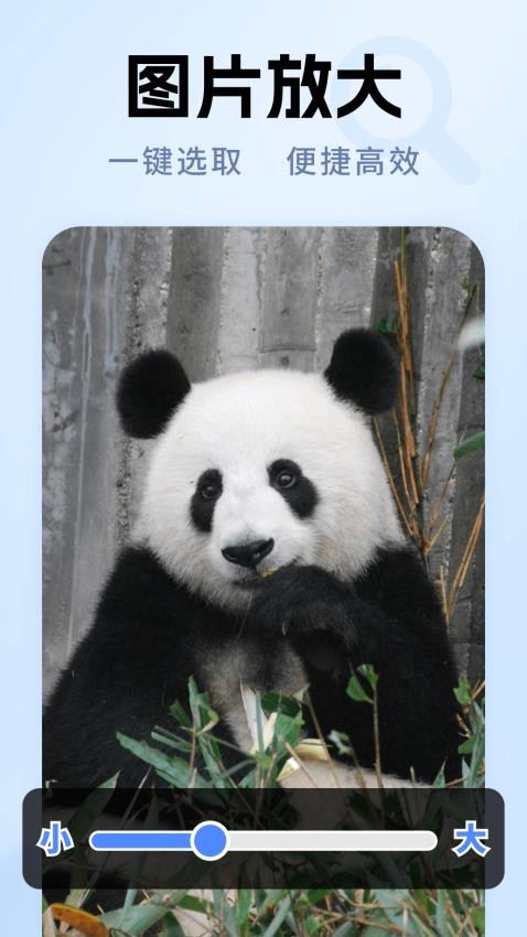 老年放大镜专家图3