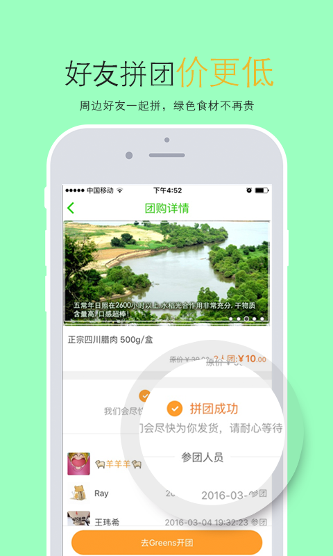 Greens(绿色食品)图4