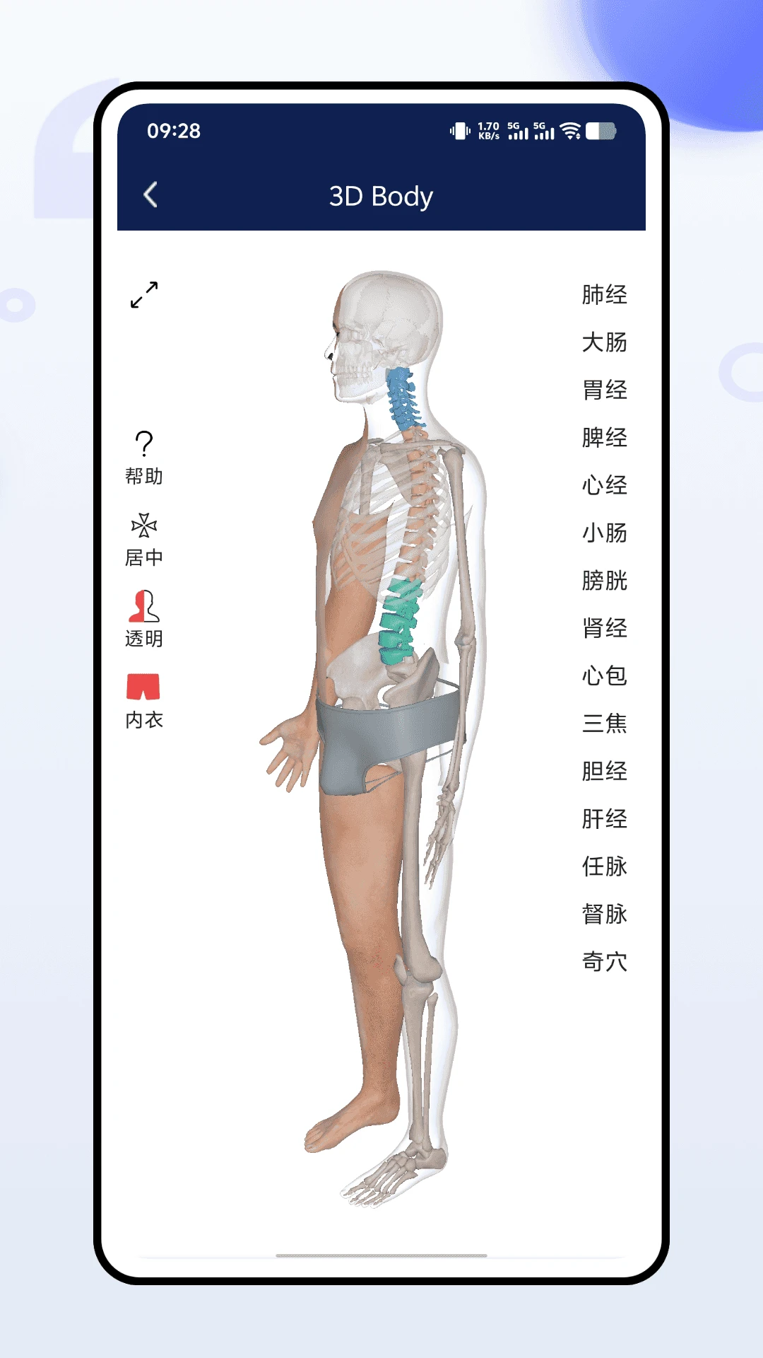 3dbody人体解剖学图3