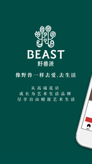 野兽派图1