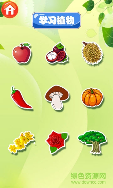 宝宝识植物图2