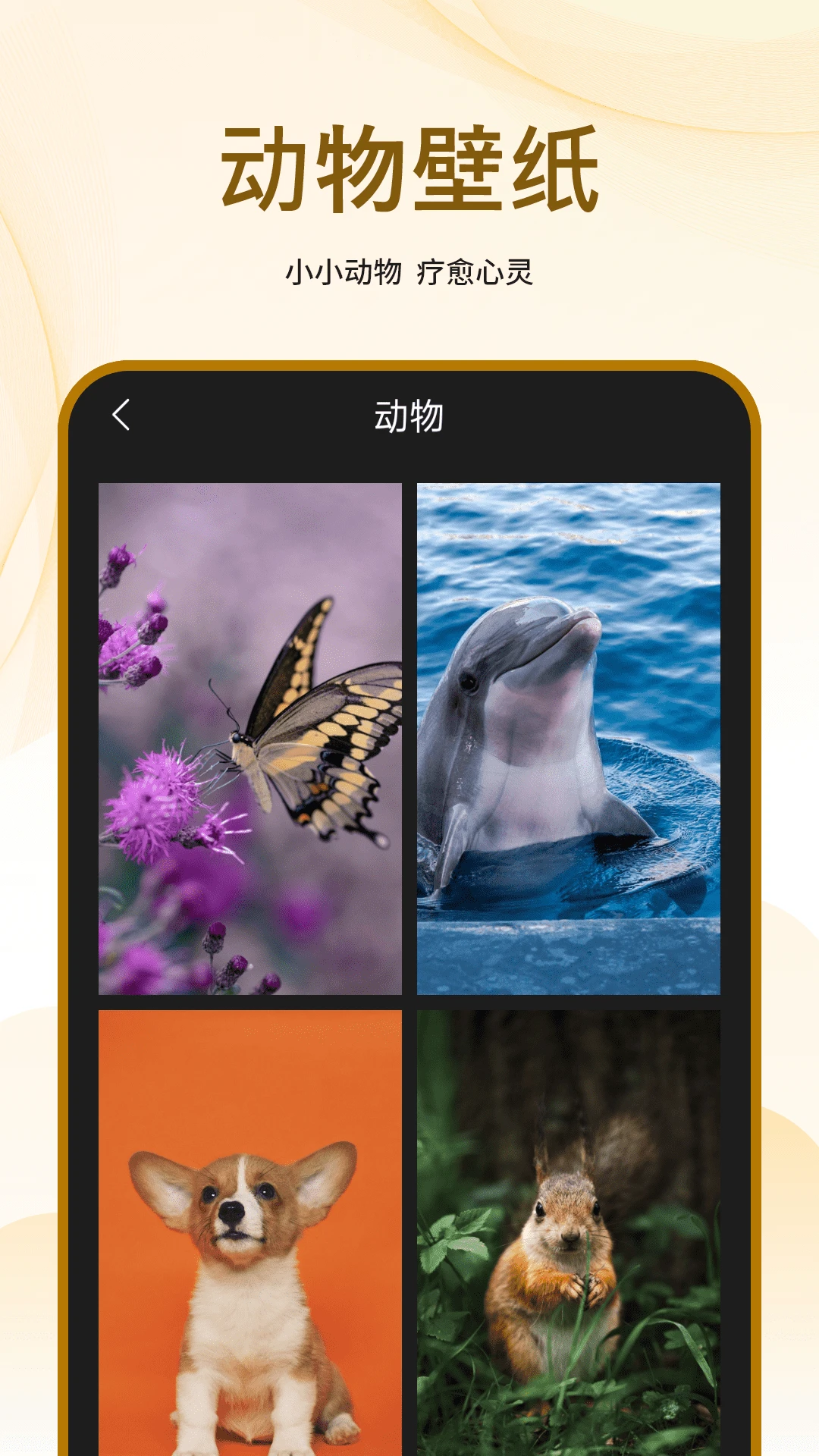 手机屏保一键换