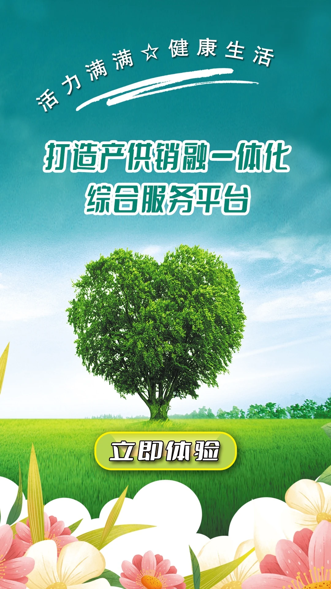 康米达图1