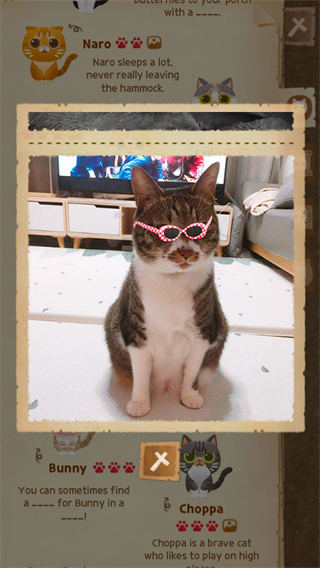 Secret Cat Forest安装器图3