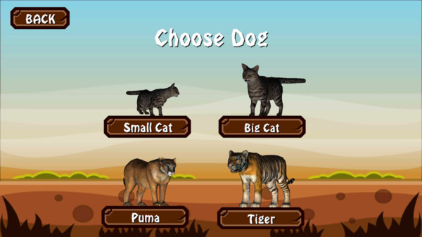 小流浪猫图4