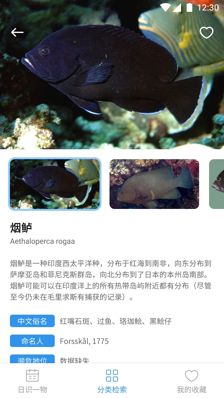 奇妙海洋 奇妙海洋