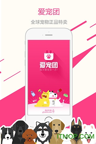 爱宠团图4