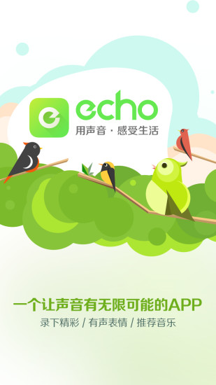 echo回声图1