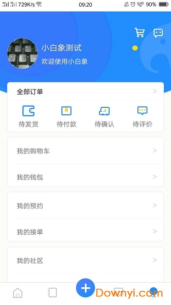 小白象