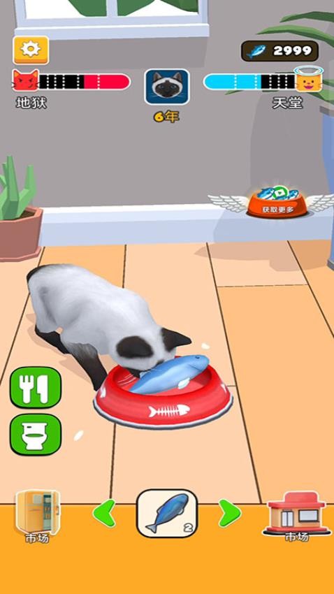 猫咪想恋爱图4