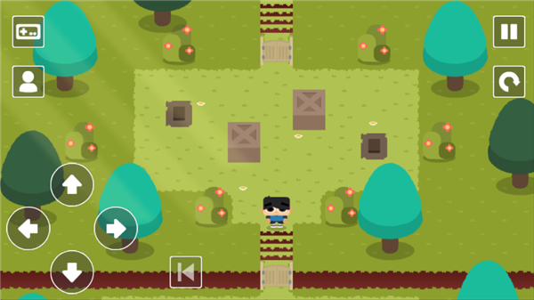 推箱子乐园DX手机版图3