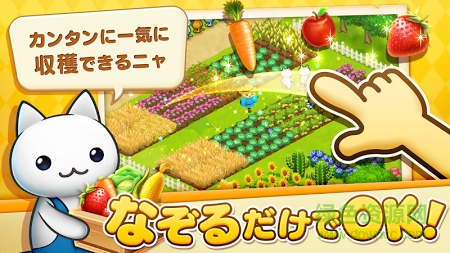 星星岛猫咪内购图3