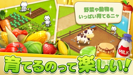 星星岛猫咪内购