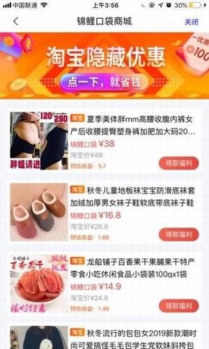 锦鲤口袋图3