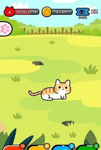 收养一只流浪的猫图3