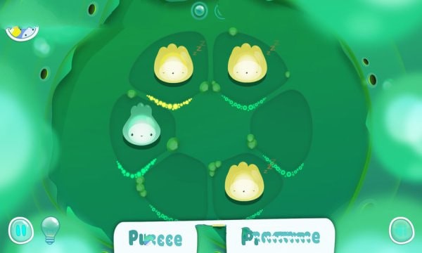 生物细胞图2