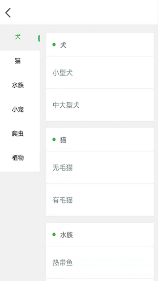 7宠网图2