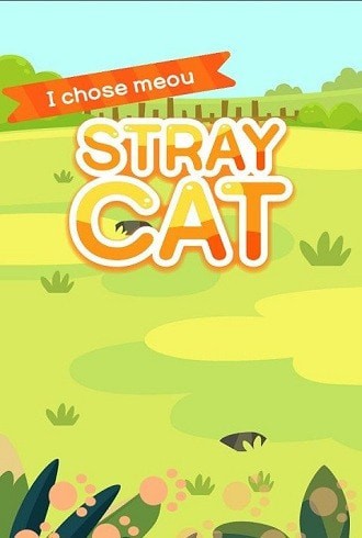 收养一只流浪的猫图1