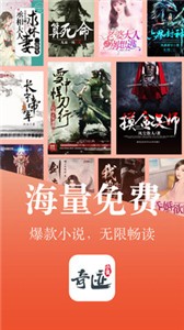 奇迹小说图3