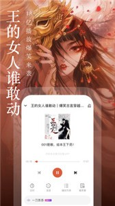奇迹小说图2