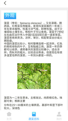 口袋菜农 口袋菜农