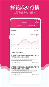 天采买花图3