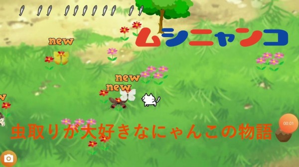 猫咪与昆虫 猫咪与昆虫