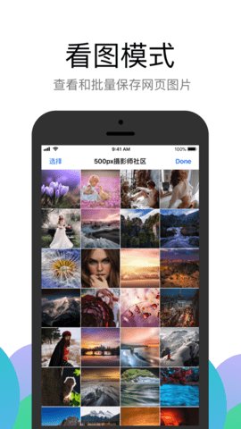 alook浏览器手机版图2