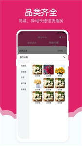 天采买花图1