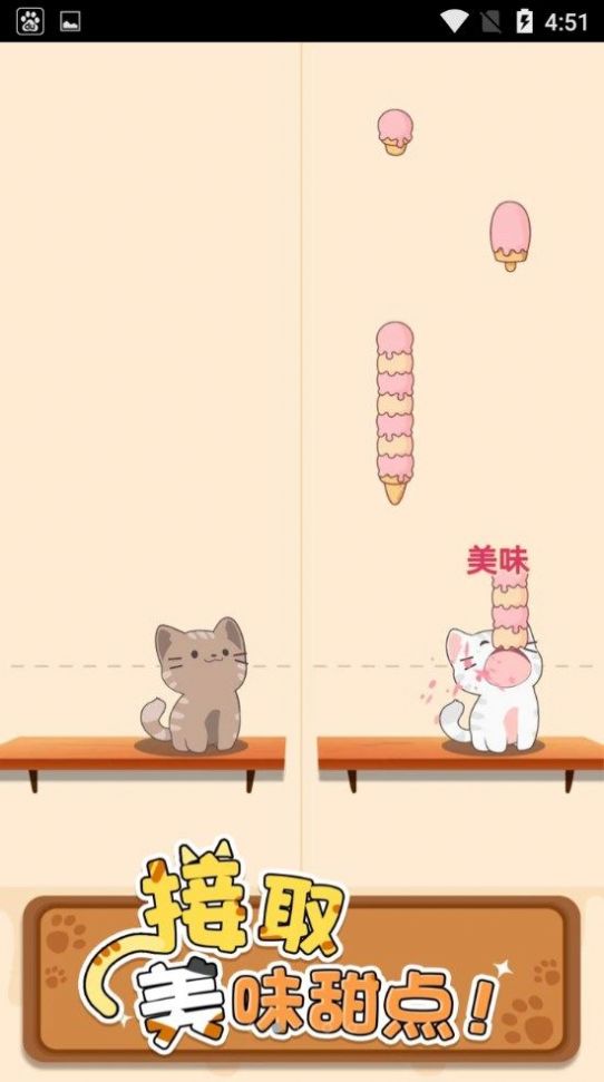 猫咪喵喵喵图1