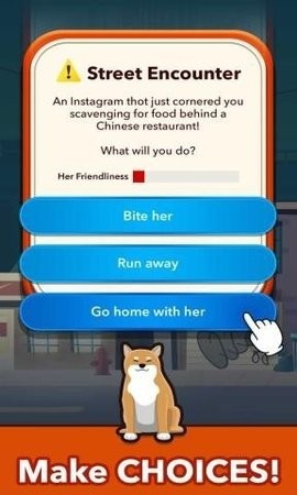 狗狗的一生app 狗狗的一生app