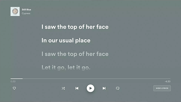 SpotifyTV版图4