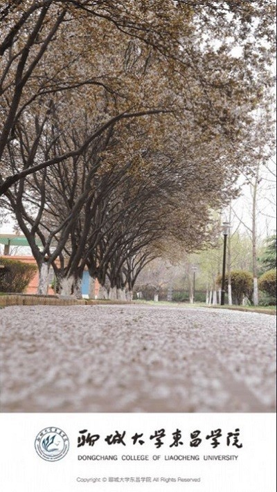 聊城大学东昌学院图4