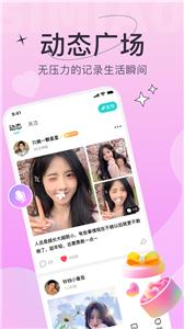 四喵图3
