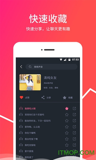 变音器图3
