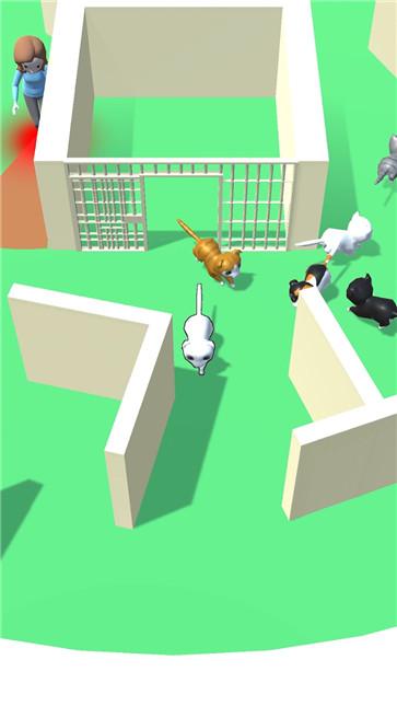 逃生猫图2